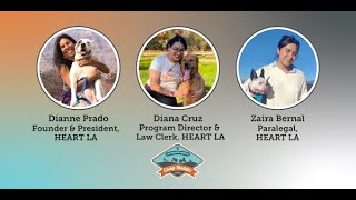 Camp Maddie: Paws & Laws: Keeping People & Pets Together & Housed - webcast