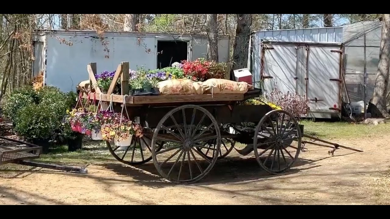 Enjoy this Tour through Zimmerman’s Greenhouse & Produce, in Loveville