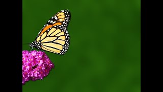 Funeral of Angela Bosely April 29 2021