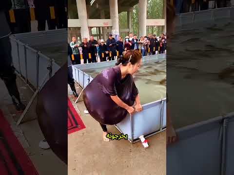 صدمة امرأة تحطم الرقم القياسي وتصطاد 50 سمكة بملابسها  ابداع