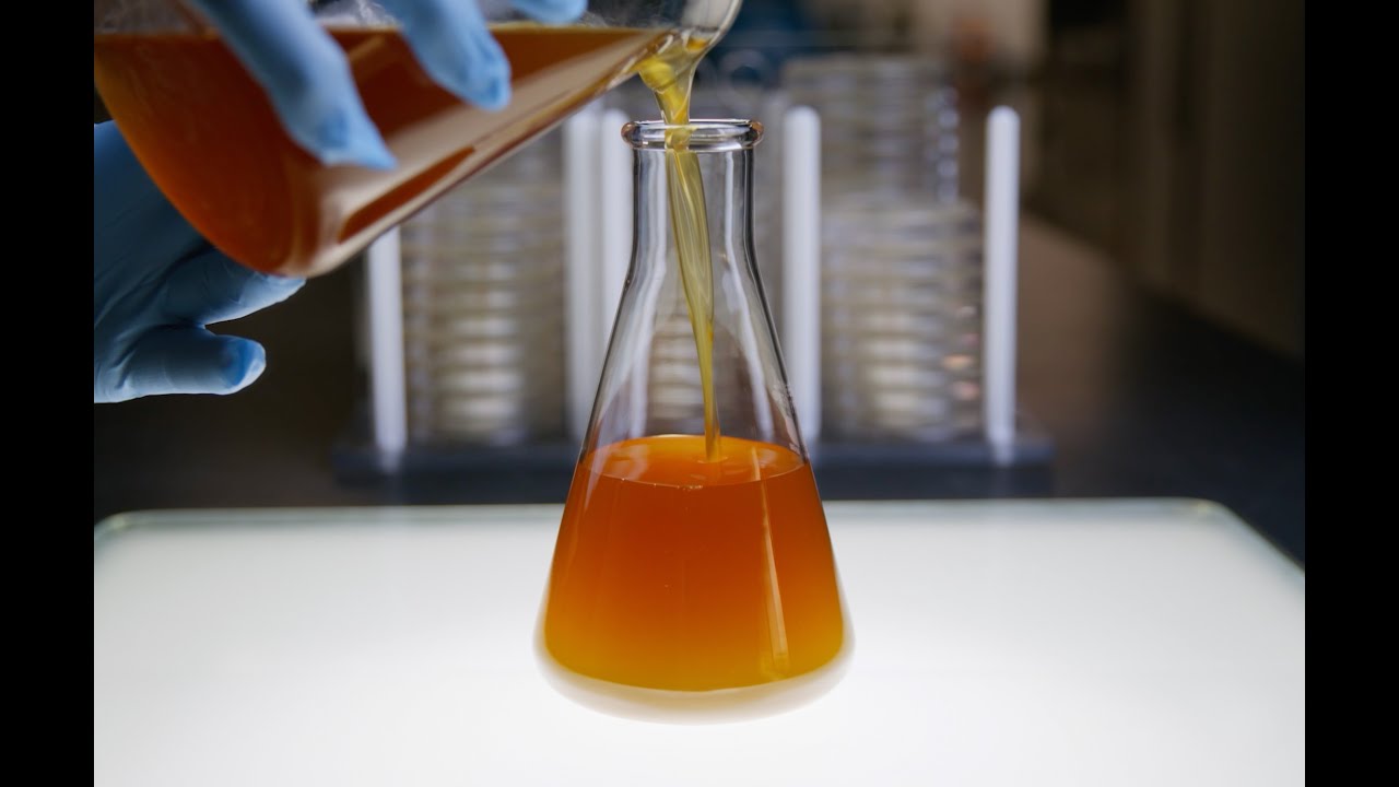 Veramaris Algal Oil - How it's Made