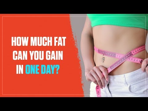 How Much Fat Can You Gain in a Single Day of Bingeing? (2018)