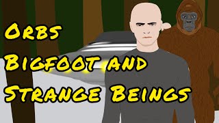 The 1989 Kopanskoye Lake Alien Encounter