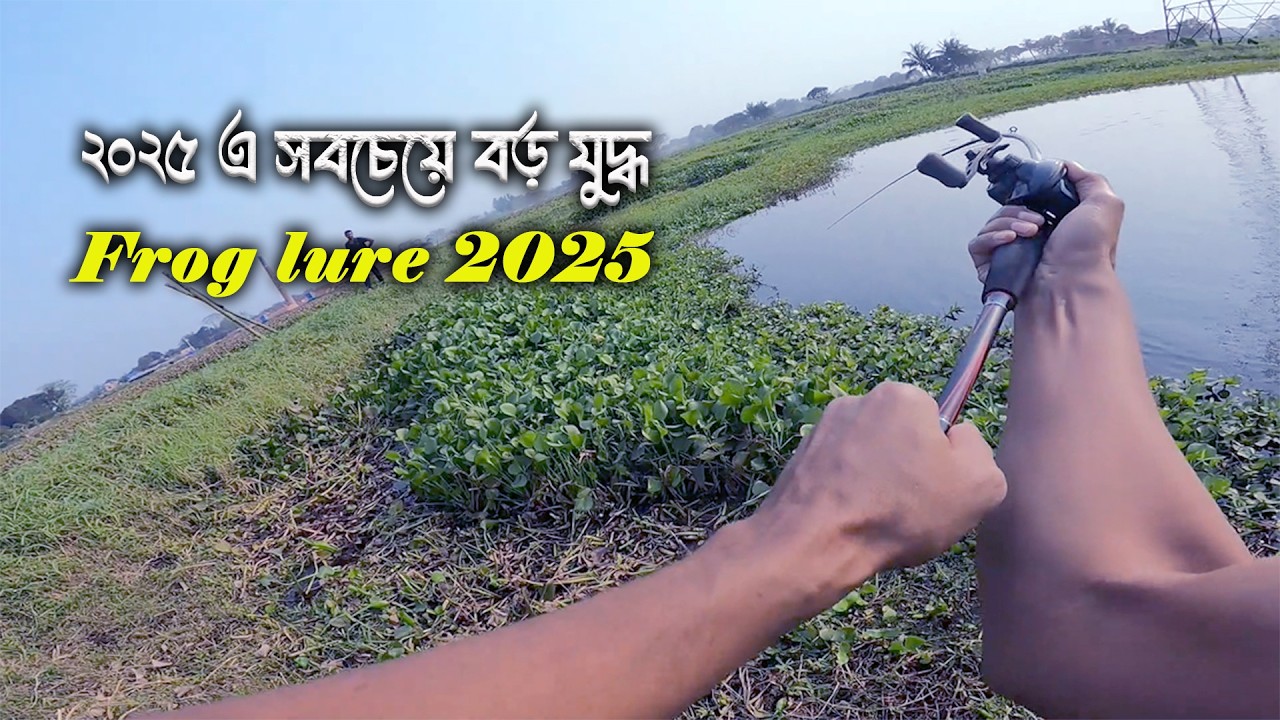এ যেন মাছের সাথে যুদ্ধ, New Fishing Lures For 2025 || Frog Lure Fishing || 2025 bass fishing lures||