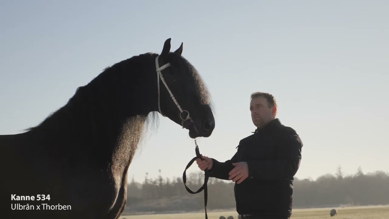 Stal de Mersken bedrijfsvideo