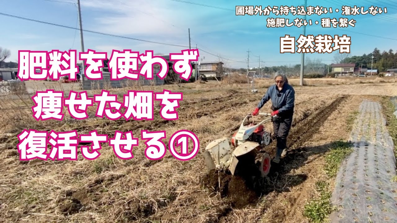 【#自然栽培】肥料・土壌改良剤などを入れずに#痩せた畑を復活させる！　①畑のリセット