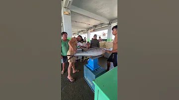 Makinis Na Makinis Trending Fishing Yellowfintuna Yellowfintunafishing Pacificocean Fisherman 