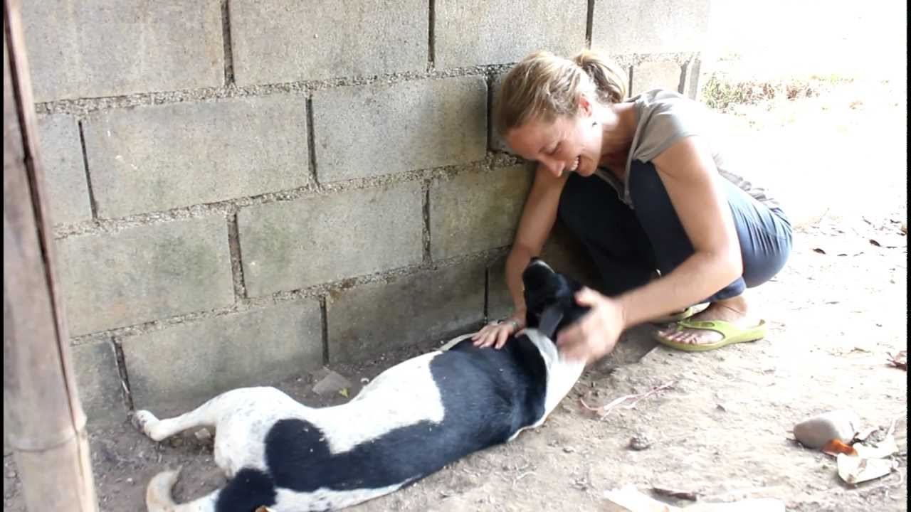 ADOPT A THAI STREET DOG