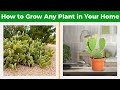 How to Select Plants According to Your Climate - ep.8