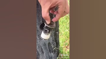 Tricky Geocache #Shorts