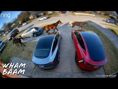NIGHTMARE NEIGHBORS CAUGHT ON CAMERA | SECURITYCAM STORIES #45