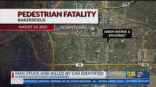 Pedestrian struck and killed Aug. 14 by vehicle on Union Avenue identified