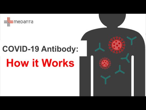 Video: Antibodi total terhadap virus corona dan apa itu