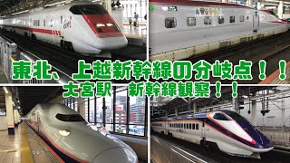 東北、上越新幹線の分岐点で見る!! 大宮駅 新幹線観察!!