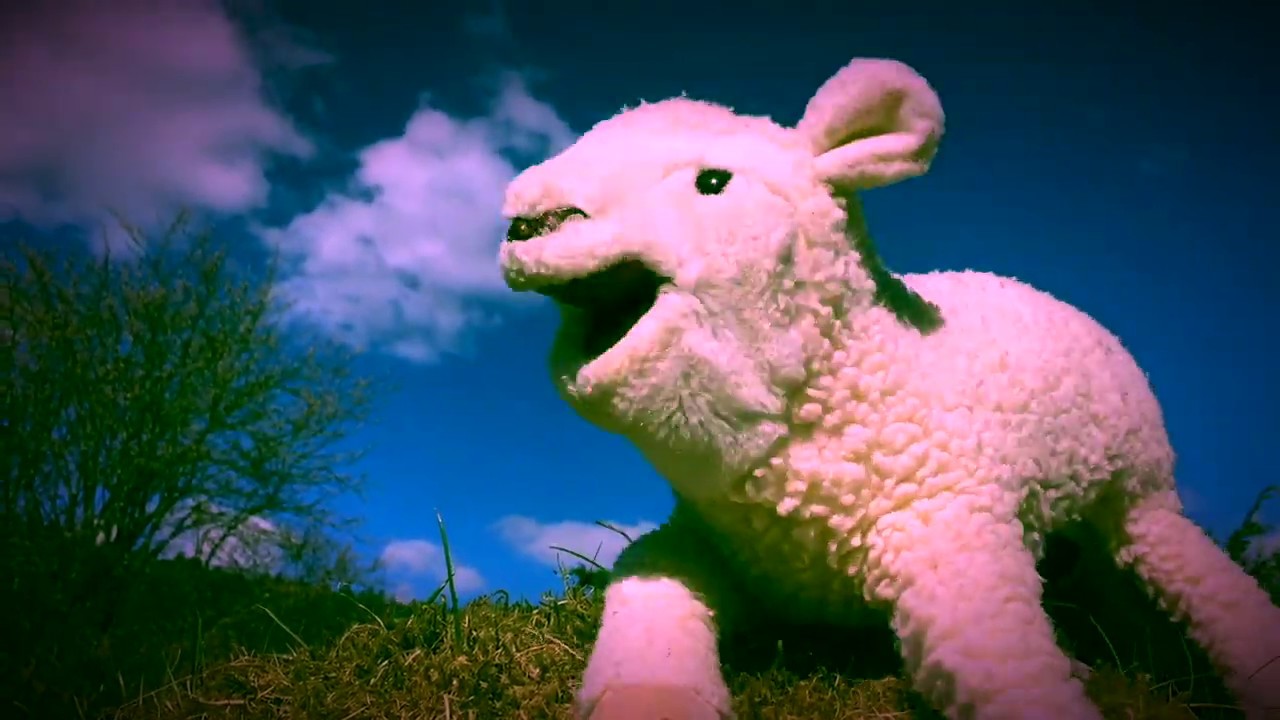 Go´ søndag fra Gyland Søndagskole