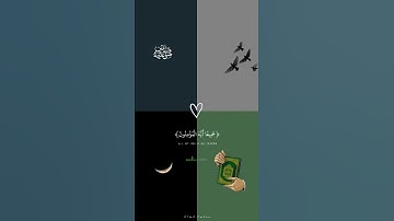 𝑸𝒖𝒓𝒂𝒏♡أكتب شيء تؤجر عليه|#أحمد_خضر#راحة_نفسية#سورة النور#viral#trending✨💚