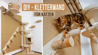DIY Kletterwand und Kratzbaum für Katzen TEIL 1 / TV Beitrag bei Hund Katze Maus / Amely Rose