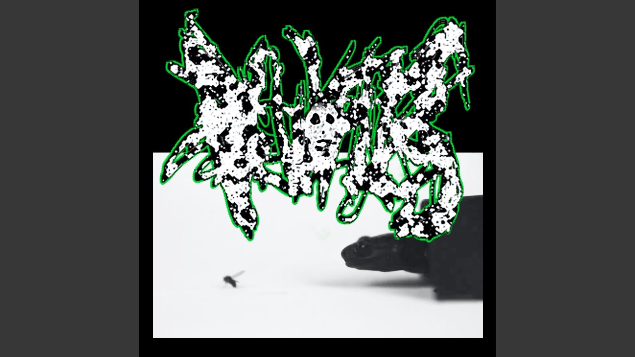 The Indirana Continuous Labia