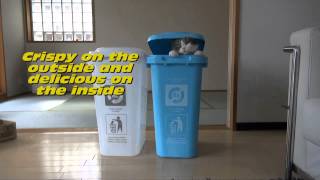 Maru Commercial - Whiskas