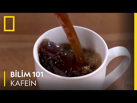 Bilim 101 | Kafein