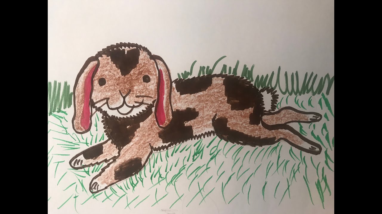 Kindergarten Art Lesson--- Rabbit Drawing - YouTube