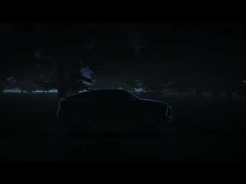 DS Automobiles | DS N°8 - DS ONE-PEDAL MODE