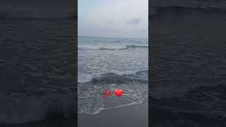 البحر الهادئ