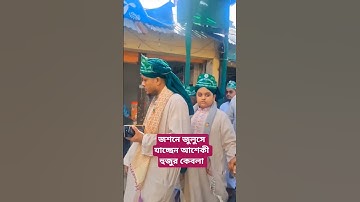 জশনে জুলুসে যাচ্ছেন আশেকী হুজুর কেবলা।🥰 #julush #eidmiladunnabi