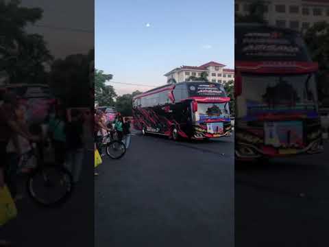 Inds 88: Lebih dari Sekadar Bus, Sebuah Simbol Perjalanan dan Kenangan