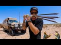 DAY 12 NO FOOD HAND SPEAR HUNTING IN REMOTE AUSTRALIA DAY 12 NO FOOD HAND SPEAR HUNTING IN REMOTE AUSTRALIA