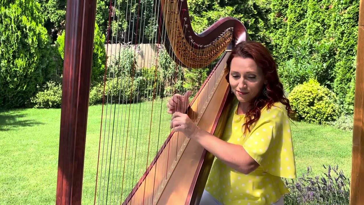 Watch Pure Imagination from "The Willy Wonka & the Chocolate Factory" (harp cover) on YouTube Watch Pure Imagination from "The Willy Wonka & the Chocolate Factory" (harp cover) on YouTube