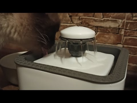 Фонтан напувалка автоматична для домашніх тварин Pet Water Fountain USB сіра фото от покупателей 1