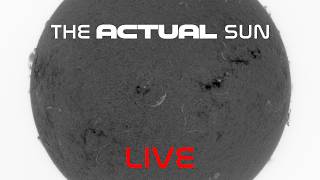Live View of Sun - 8.16.26