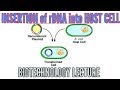 Insertion of recombinant DNA into host organism/cell , Biotechnology lecture.