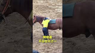 上馬|自說自話的總裁