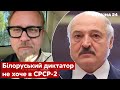 🔥Лукашенко готовий кинути путіна! Тізенгаузен дав прогноз на зміну курсу - Україна 24