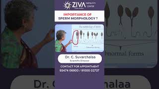 Importance Of Sperm Morphology || Sperm Abnormalities || Dr Chekuri Suvarchala || ZIVA Fertility