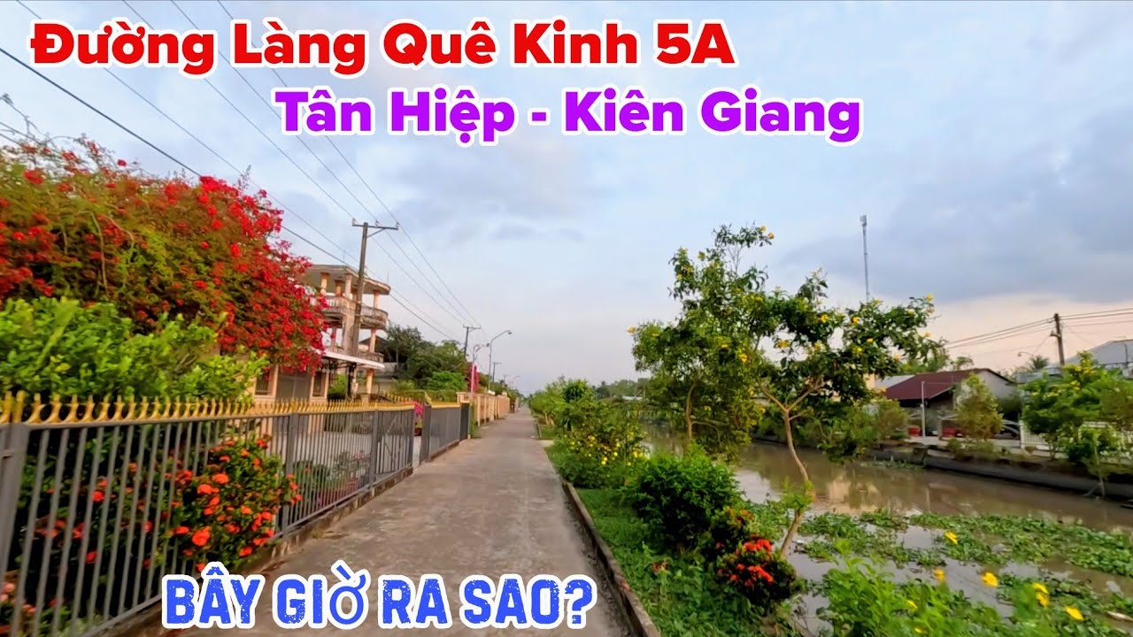 Đường Làng Quê Kinh 5A Vùng Cái Sắn Tân Hiệp - Kiên Giang Bây Giờ Ra Sao?