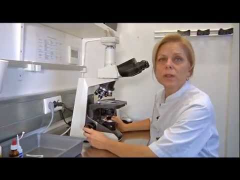Video: Is een cytoloog een goede carrière?