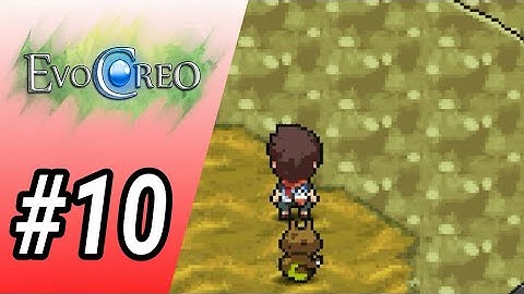 Sum Tunnel - EvoCreo #10