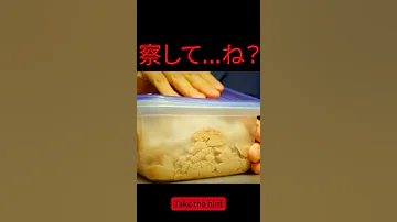 彼氏に見せるとナニかが分かる ASMR 浮気調査 Shorts 