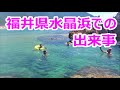 福井県「水晶浜海水浴場」にて家族でシュノーケリングをしていたら、男前なシーンに出くわした！美浜の素晴らしい海と海中映像をどうぞご覧下さいませ！