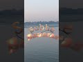 subhe banaras. #viral #shorts #trending #explorepage #tyt #islamicprayer #banaras #subhebanaras
