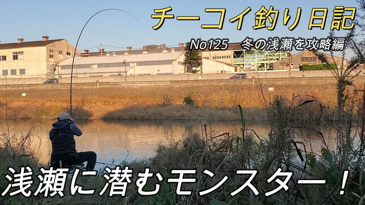【鯉釣り】エサを投入した直後にとんでもないヤツが食らいついた。