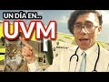 Un día en UVM Coyoacán | ¿Qué ofrece? ¿Es buena universidad?