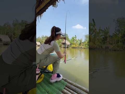 Câu cá hồ Vĩnh Kim Trà Vinh | VY HAN FISHING