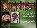 دلم گنجشك پر بسته س ترانه محمد صالح علاء دکلمه علی محمدی