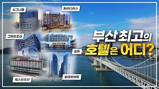 특급호텔 전쟁터 부산 바닷가⛵그중 1등은 어디? | 시그니엘vs힐튼vs파라다이스vs웨스틴조선vs파크하얏트vs그랜드조선