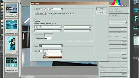 Downloading Photographs From A Camera Using Adobe Bridge, for CHS