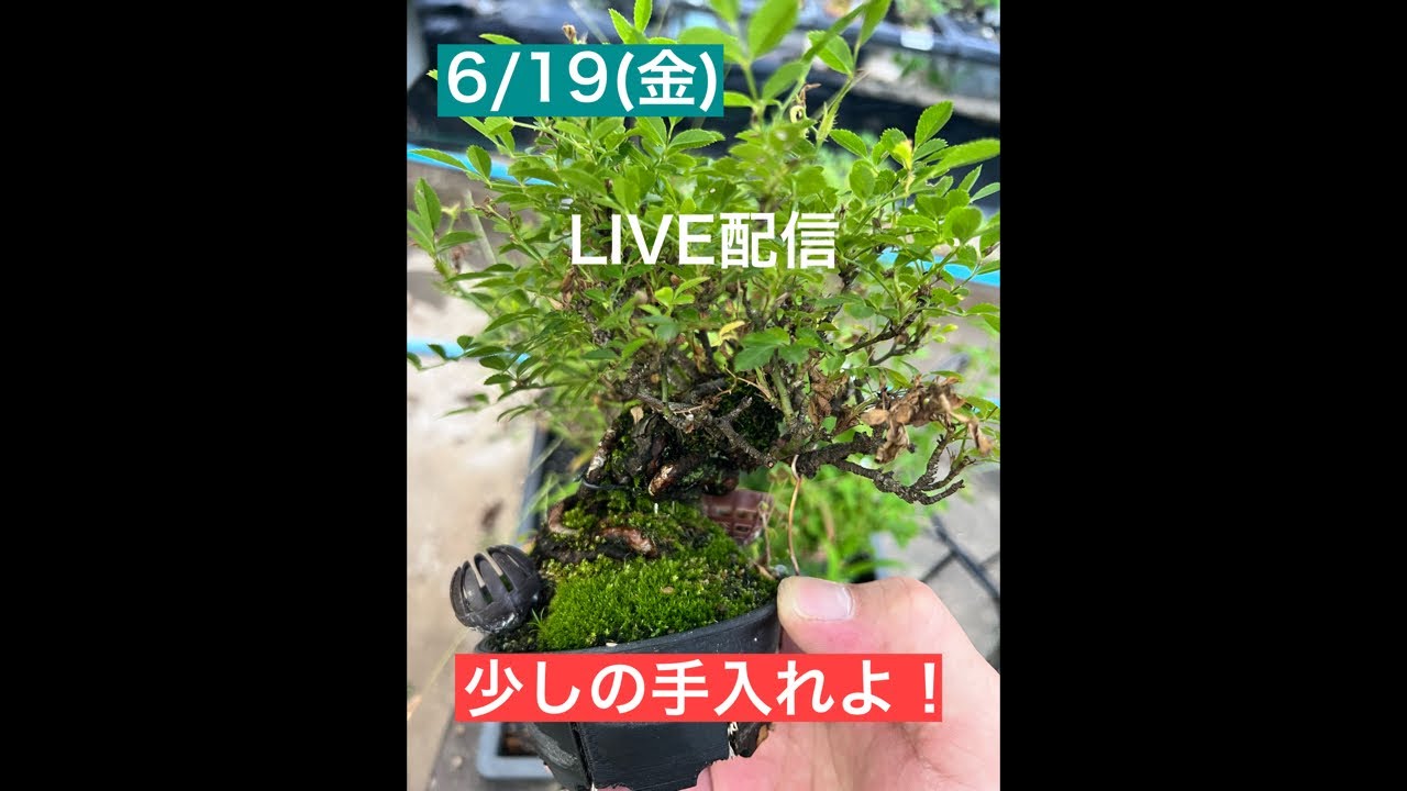689 A Little Maintenance! - YouTube